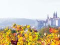 Weinberge mit Blick auf die Meißener Albrechtsburg